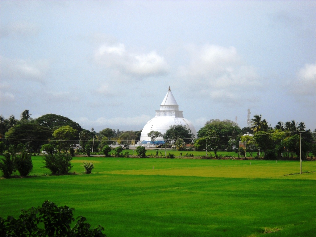 Tissamaharama white stupa beyond green paddy fields, Sri Lanka