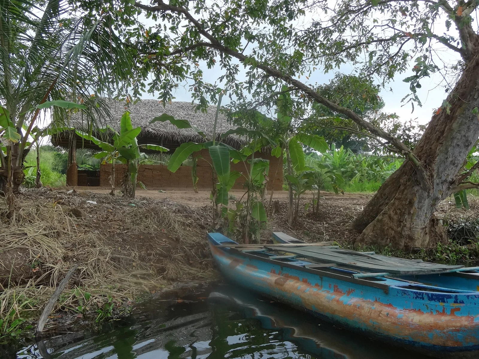 Traditional boats moored beneath trees beside Hiriwadunna Lake