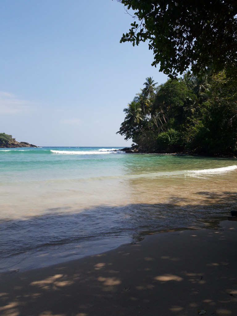 Turquoise water and a palm-covered headland at Hiriketiya bay, Sri Lanka