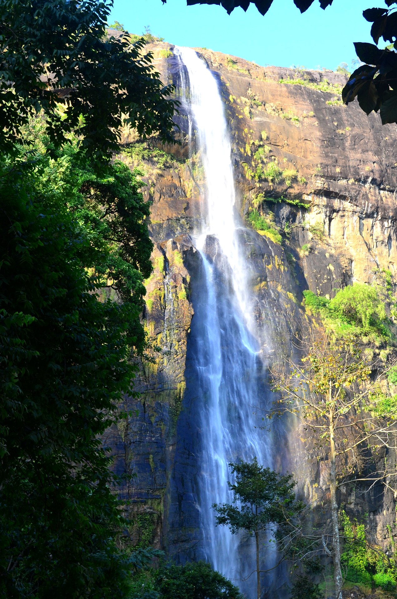 Tall waterfall in Sri Lanka's hill country