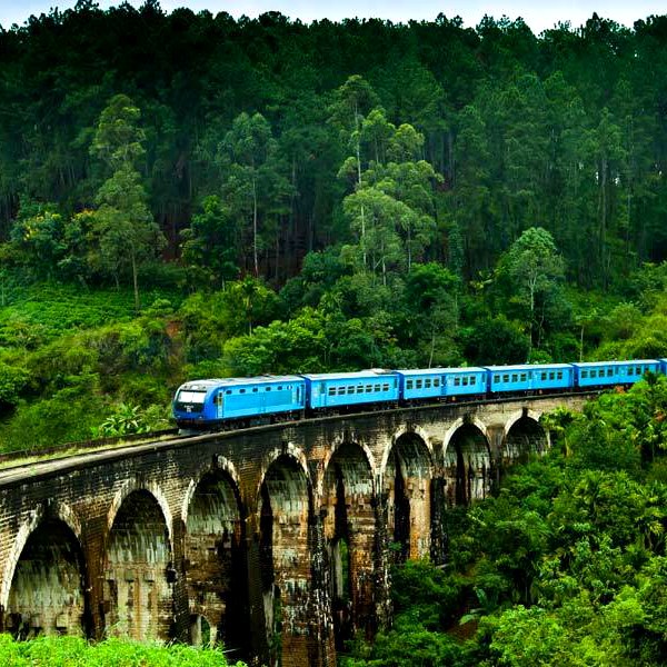 The Nine Arch Bridge framed by forest with a blue train crossing