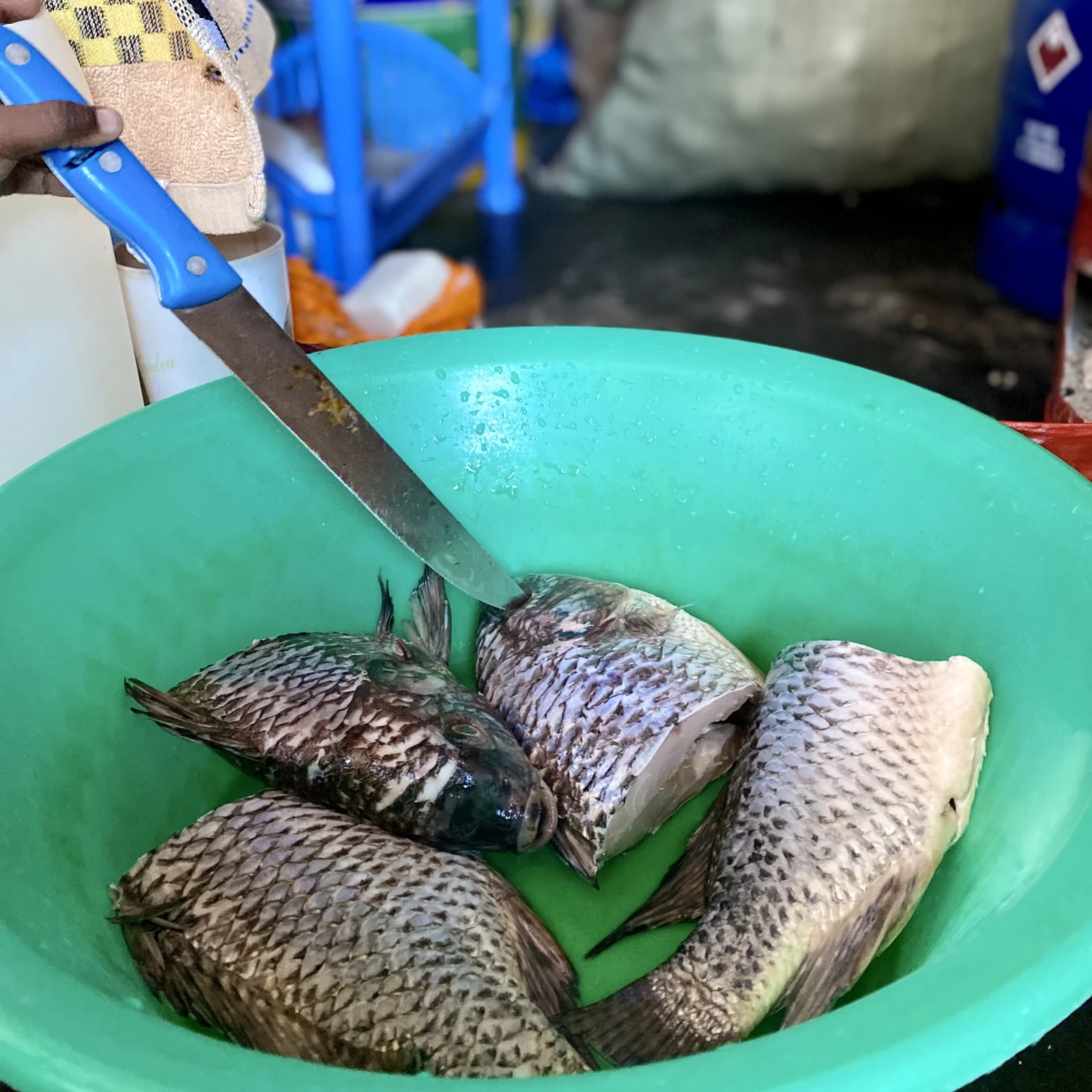 Raw tilapia fish prepared for cooking; ingredient photograph