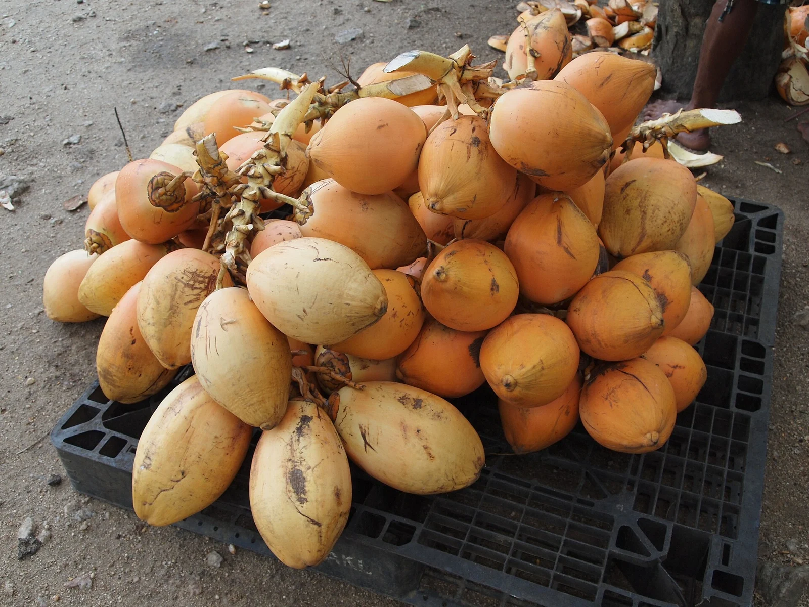 King coconuts, Sri Lanka's classic roadside refreshment.