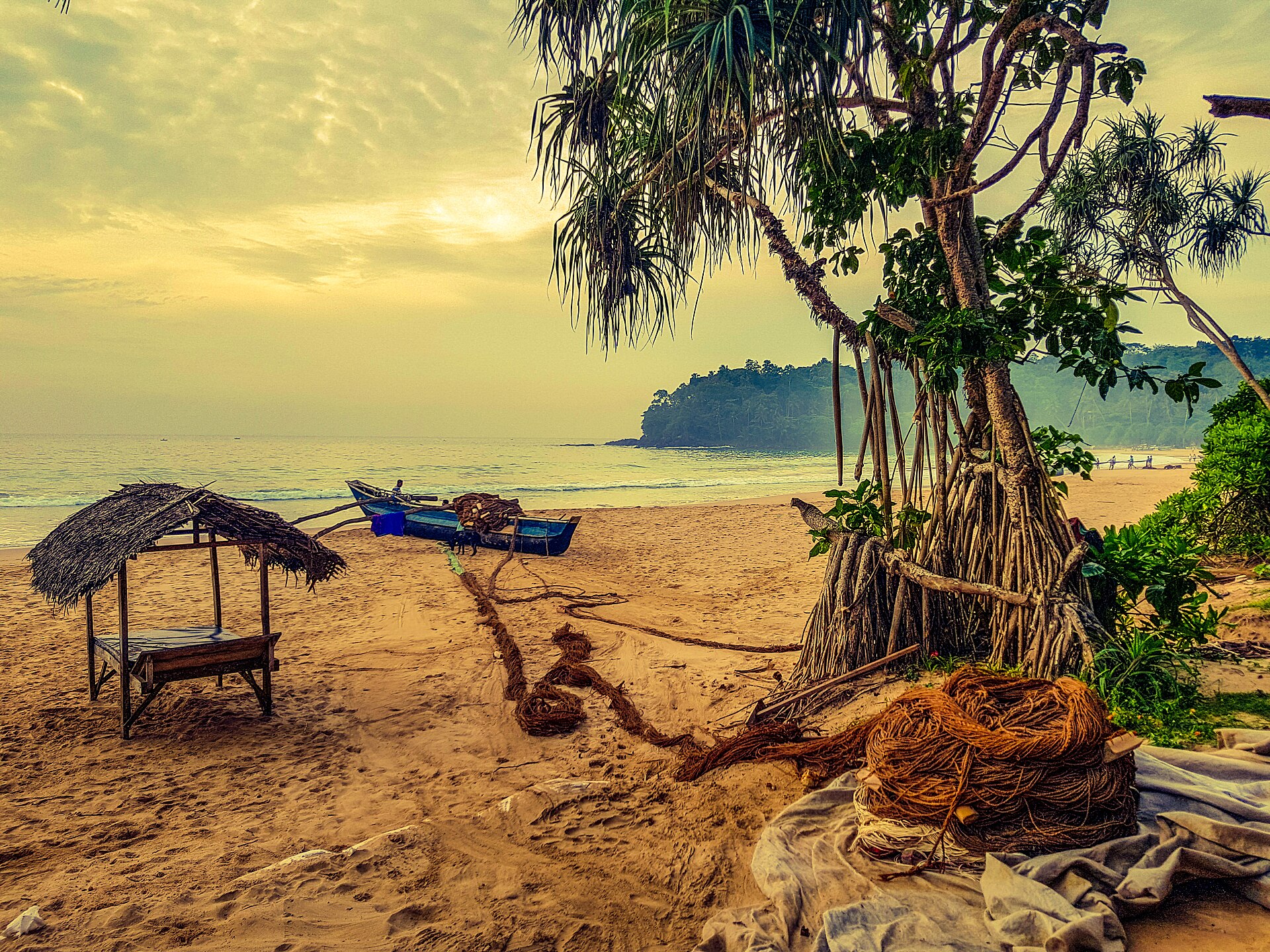 Quiet golden bay with a fishing boat under the palms at Talalla Beach